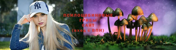 МДМА Дмитриев