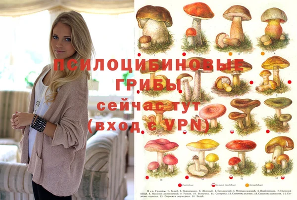 экстази Гусев