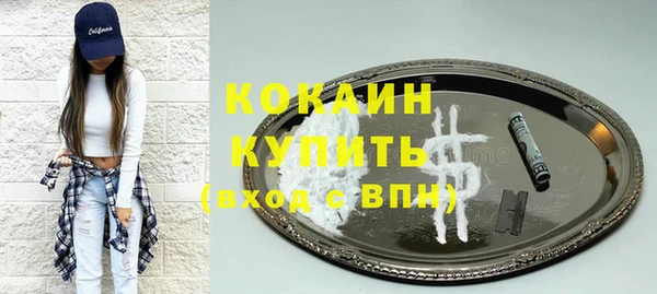 гидра Гусь-Хрустальный